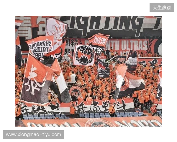 苗原谈泰山引援：账户里有200万水平购买力 但文旅决策尽量少花钱