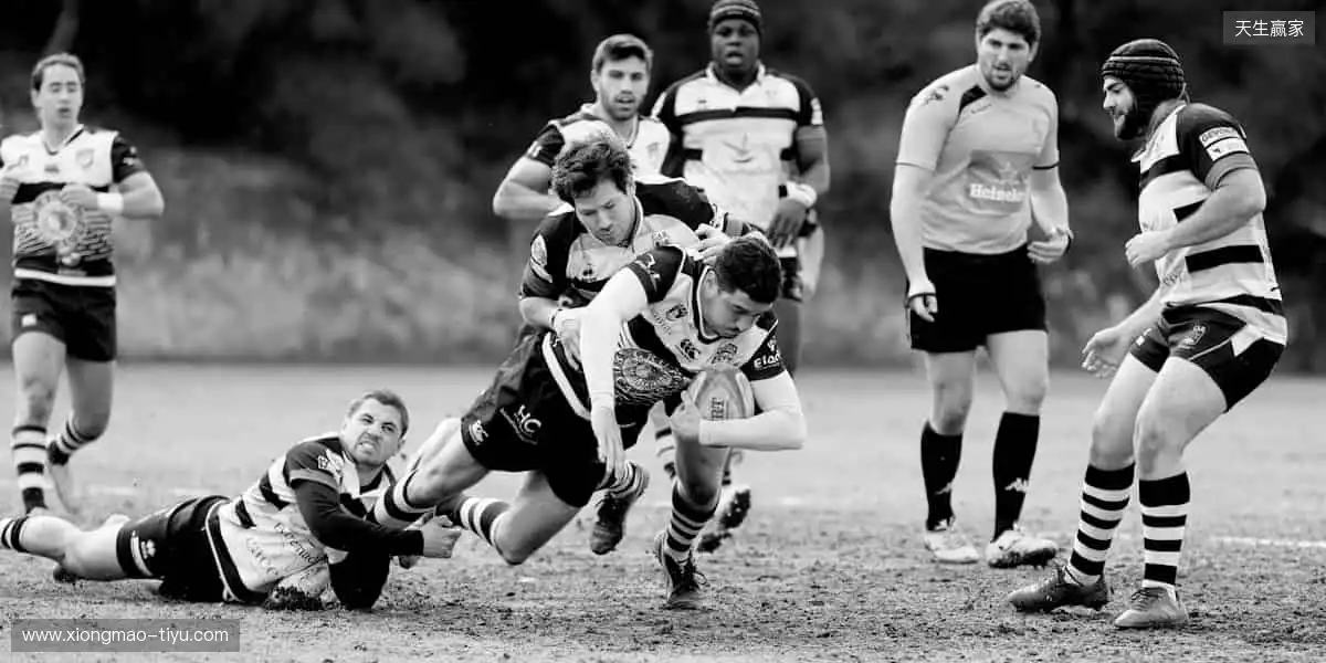 运动潮品，穿搭你的个性态度！👟